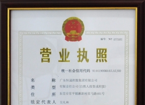 恒晟控股集團營業(yè)執(zhí)照